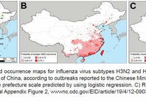 Bird flu and human flu in China