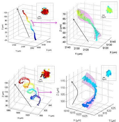 Chiral Ribbon Patterns