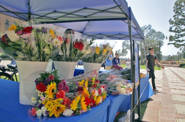 Graduation 2013 - flowers