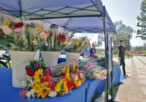 Graduation 2013 - flowers