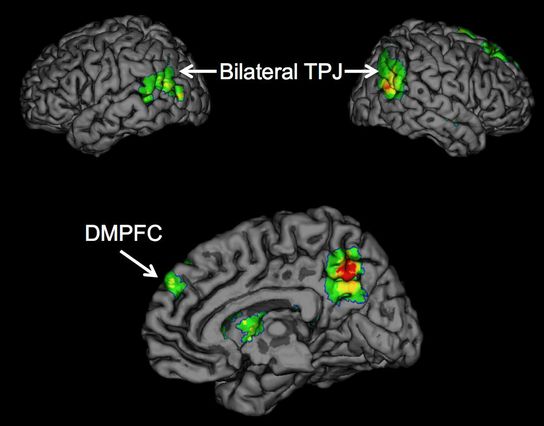 How the brain creates the 'buzz' that helps ideas spread | UCLA