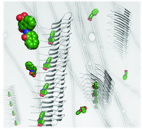Small molecules binding to amyloid fibrils