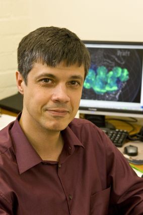 Vassilis Angelopoulos