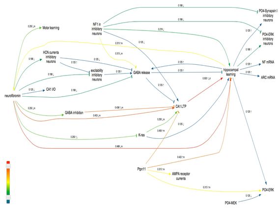 Neuroscience research Map