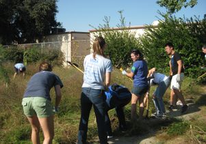 Gardening at Markham Middle School