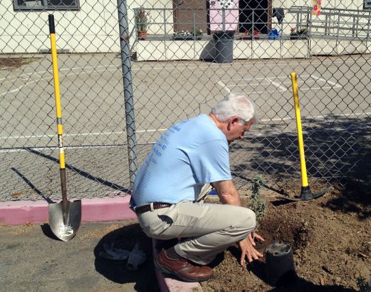 Chancellor Block at Volunteer Day