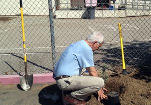 Chancellor Block at Volunteer Day