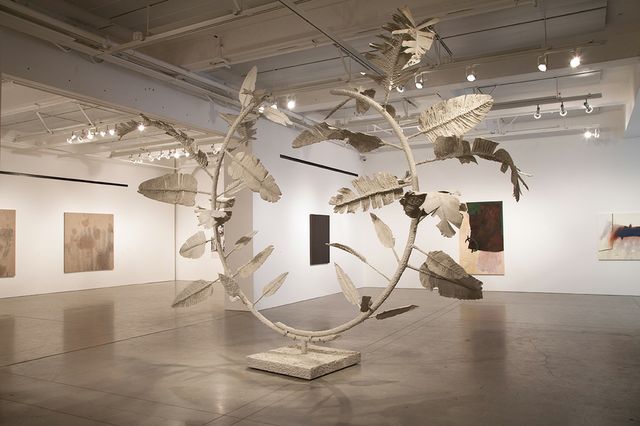 Kathleen Ryan-MFA Exhibition