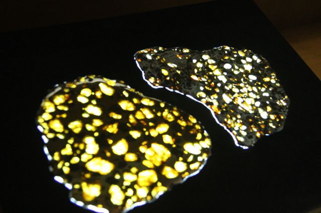 Pallasites