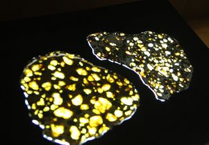 Pallasites