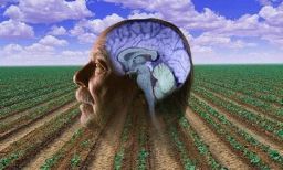 Pesticides and Parkinson's