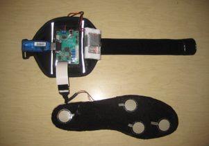 Sensor Module band