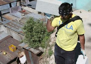 Haulingconcrete.cropped