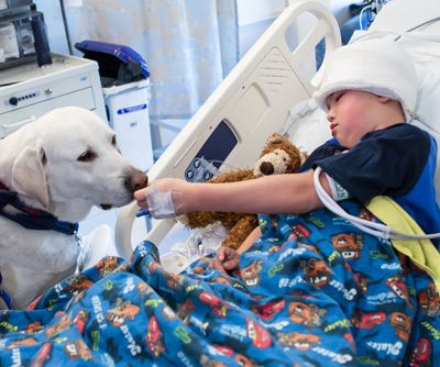 Whitedog.kid cropped 400 wide