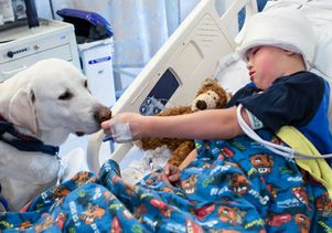 Whitedog.kid cropped 400 wide