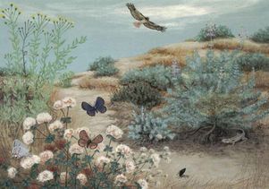 Sharon Belkin.dunes-1