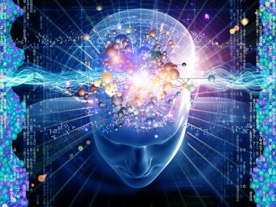 brain