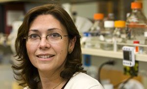 Luisa Iruela-arispe2