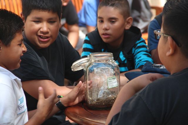 Students learn about plants