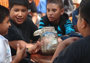 Students learn about plants