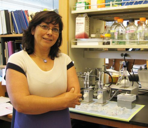 Luisa-Iruela-Arispe.use