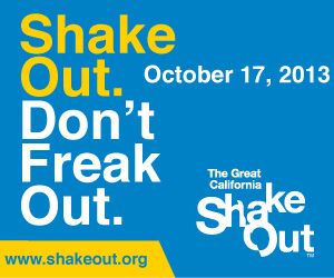 Shakeout 2013 logo