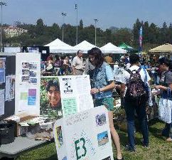 Sustainability Fair