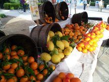 farmers market