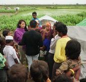 Fielding video capture