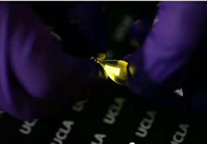 Flexible LED