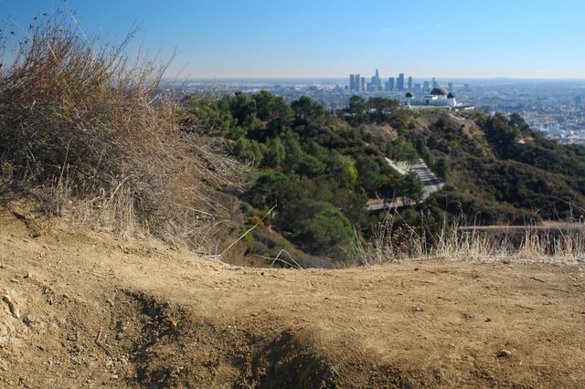 Griffith Park drought