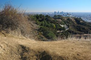 Griffith Park drought