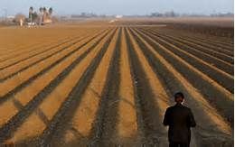 Water Crisis Survival of the Wettest