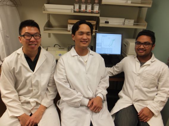 Vitamin A and tuberculosis