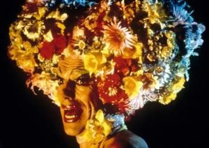 ''The Adventures of Priscilla, Queen of the Desert'