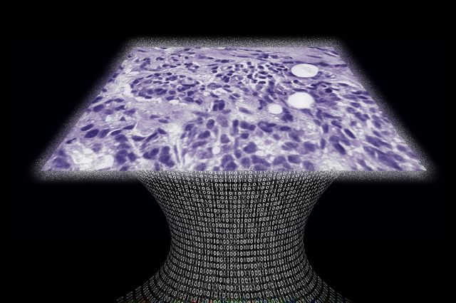 Lens Free Microscope image