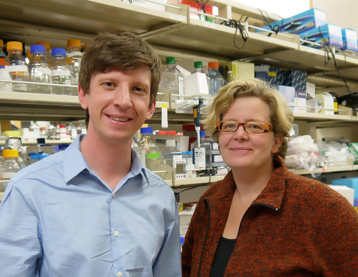 Vincent Pasque and Kathrin Plath