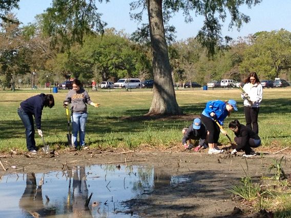 Students plant irises in New Orleans