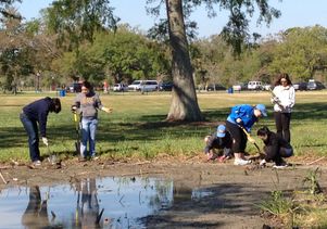 Students plant irises in New Orleans