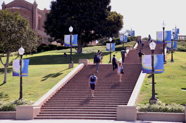 Janss Steps