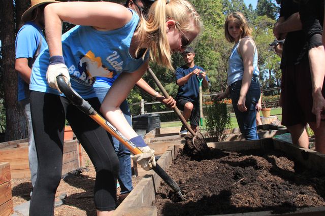 UCLA urban ag class at Sunset Canyon garden