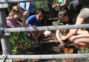 Students enrolled in a class on urban agriculture in LA