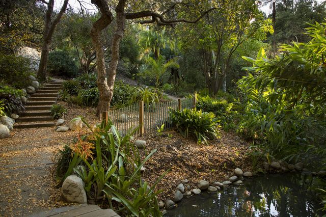 Mildred E. Mathias Botanical Garden
