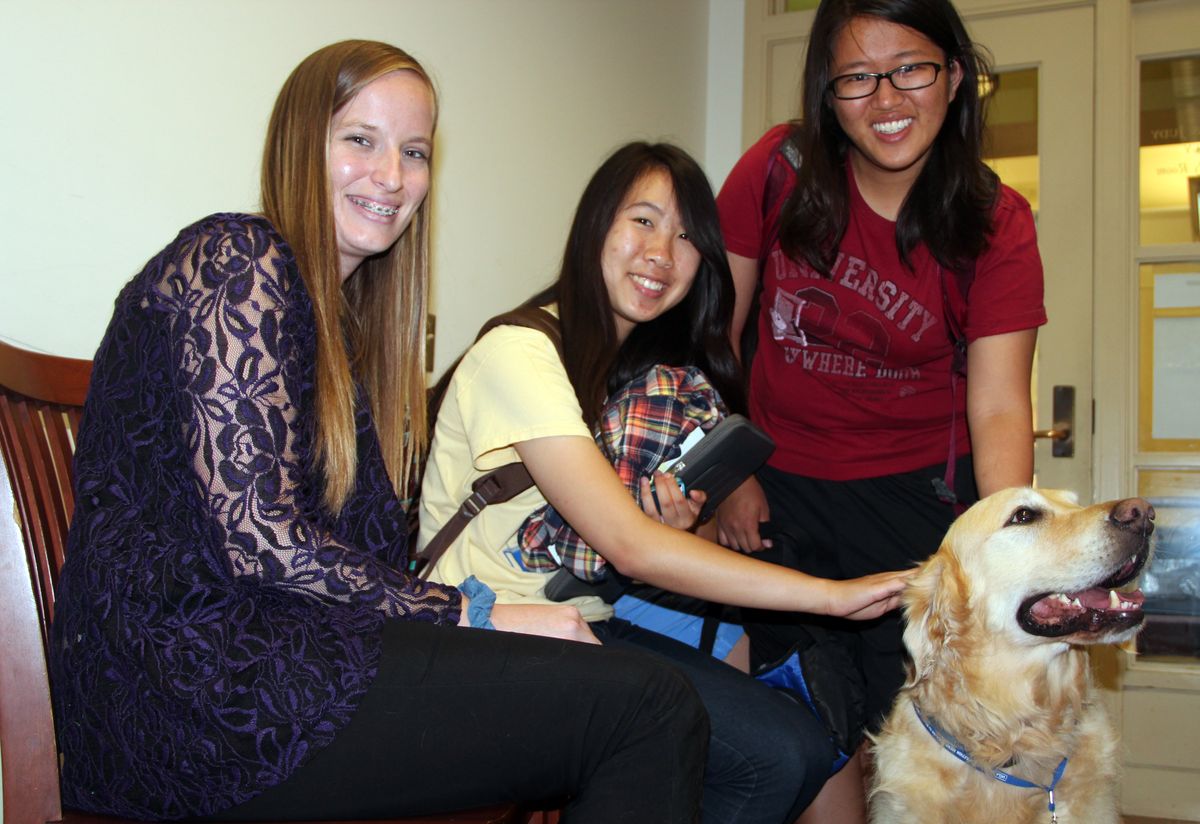 Dog therapy for UCLA students