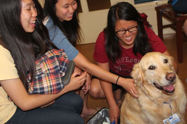 Dog therapy for UCLA students