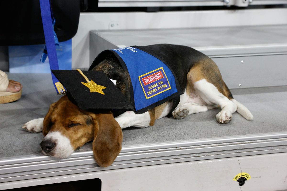 Wake me when it's over