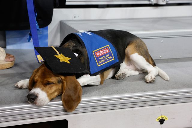 Wake me when it's over