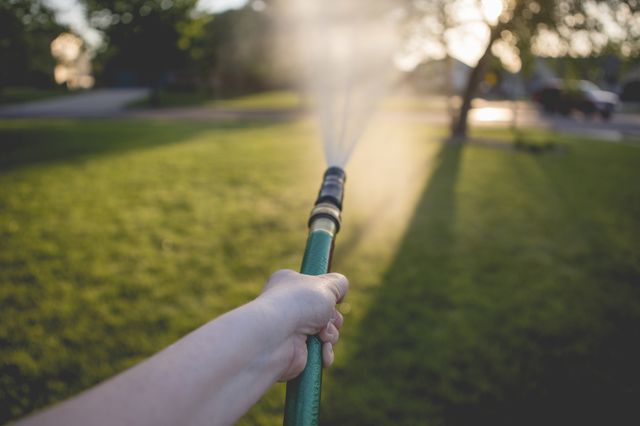 Watering the lawn
