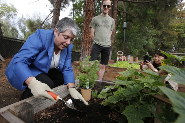 Janet Napolitano plants oregano
