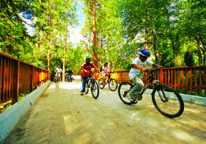 UCLA UniCamp mountain bikers